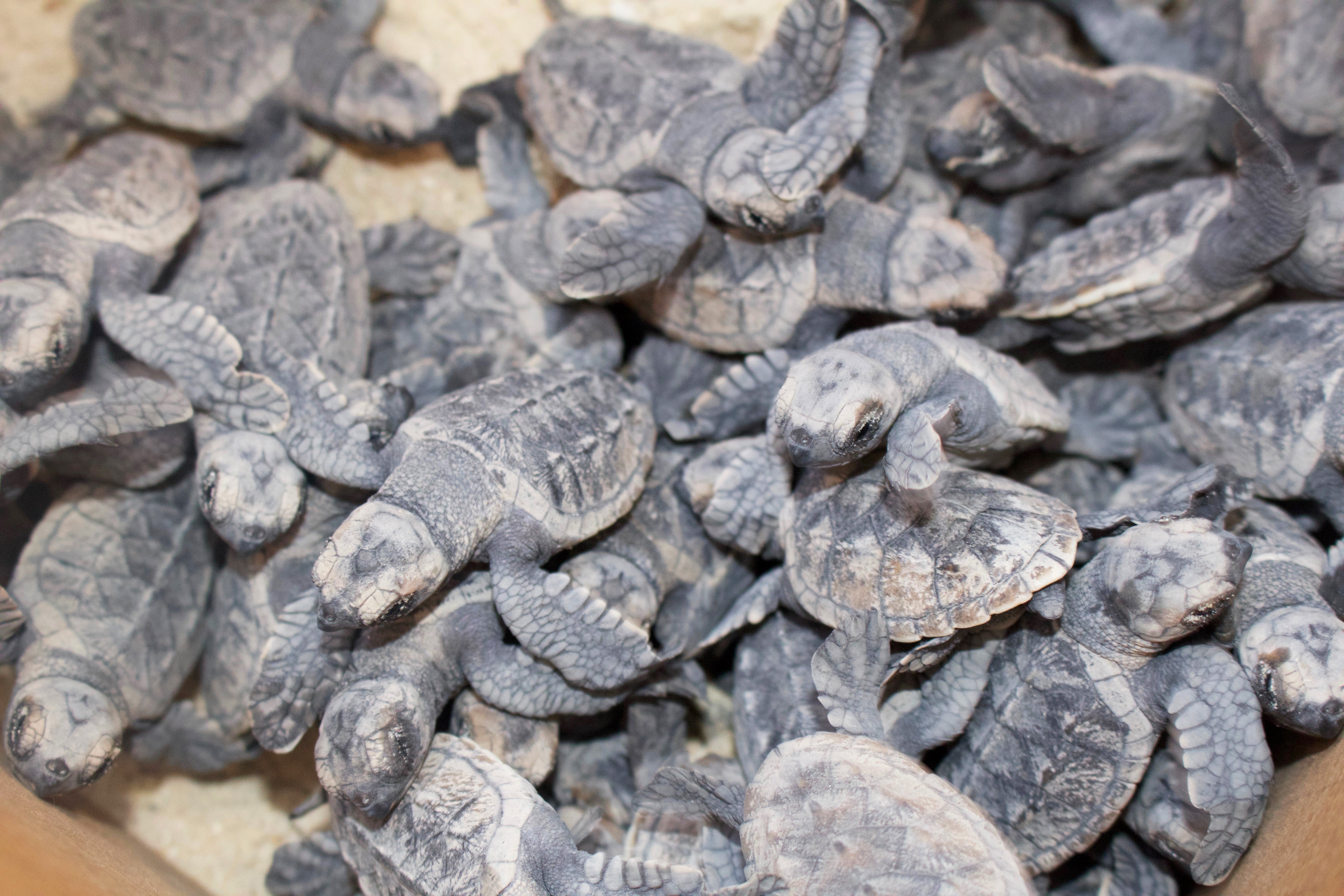 10 Reasons Your Next Trip Should Be: Barbados
